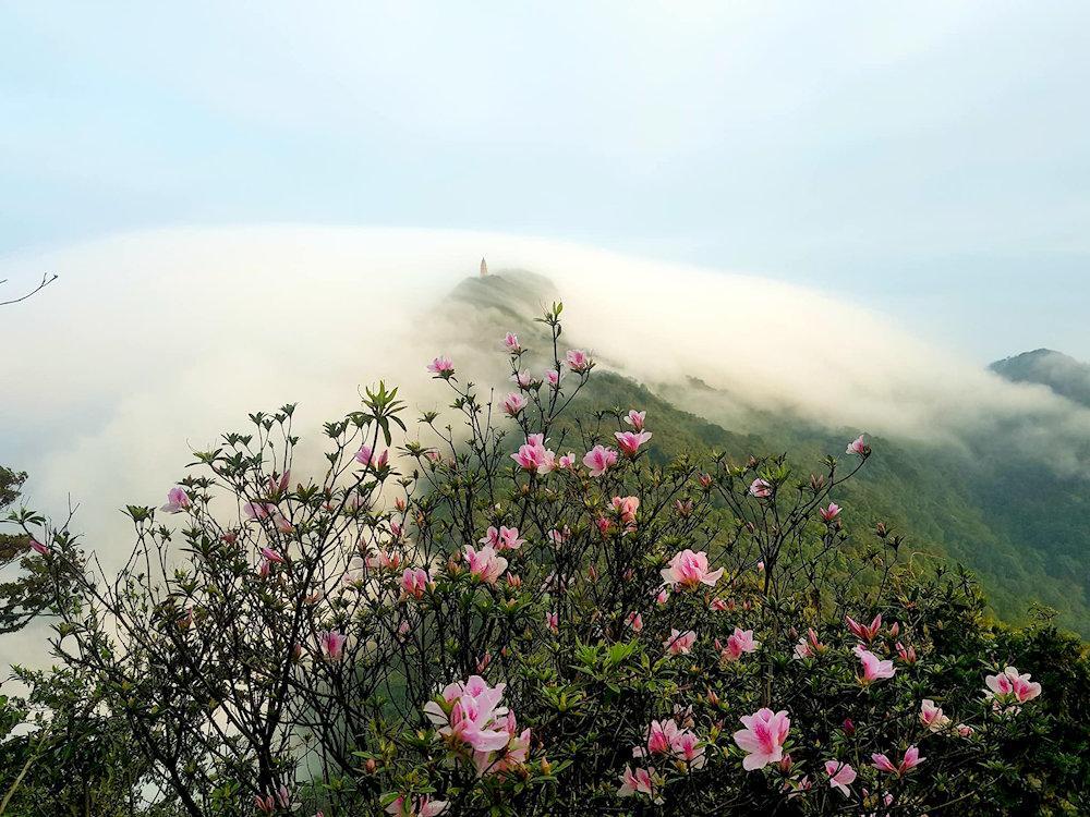 The picturesque scenery at Ba Vi National Forest